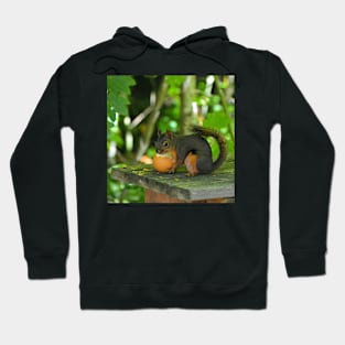 Hungry Squirrel Hoodie